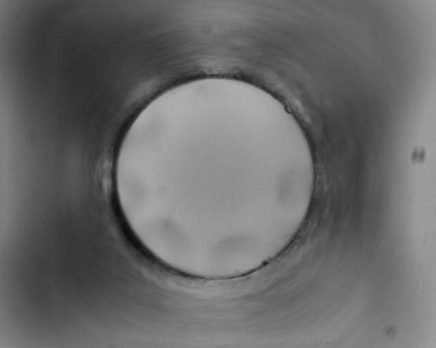 X0000102820019200809151026