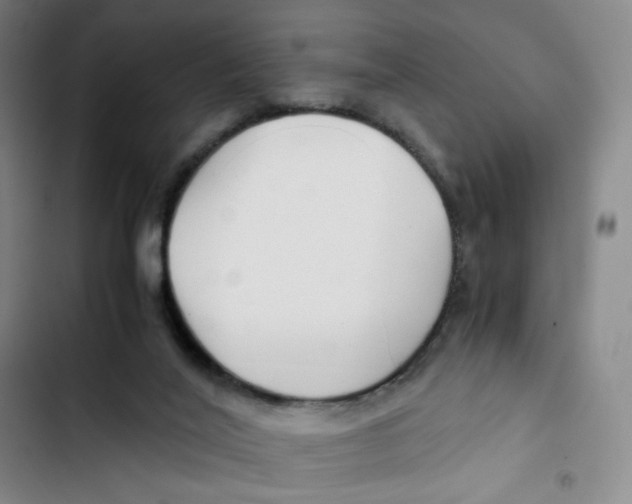 X0000102820020200809151026