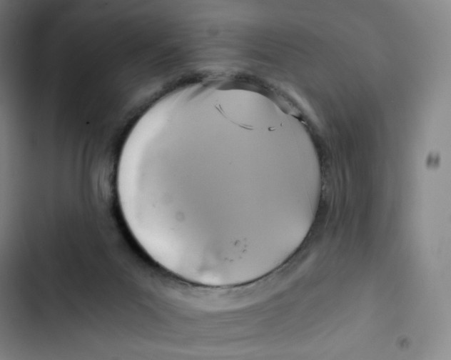 X0000102820023200809151026