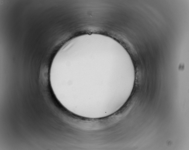 X0000102820024200809151026