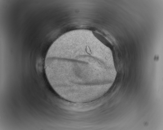 X0000102820026200809151026