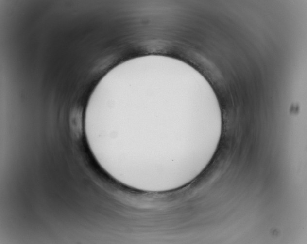 X0000102820028200809151026