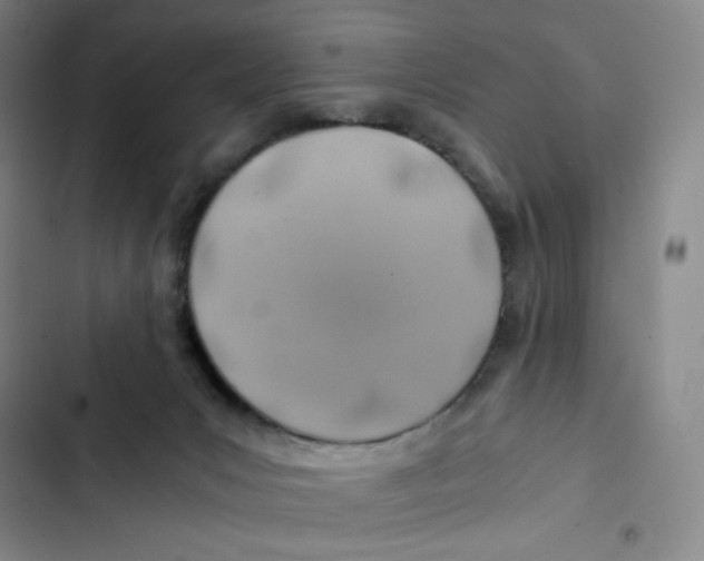 X0000102820031200809151026
