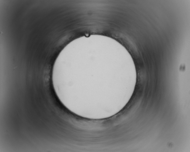 X0000102820032200809151026