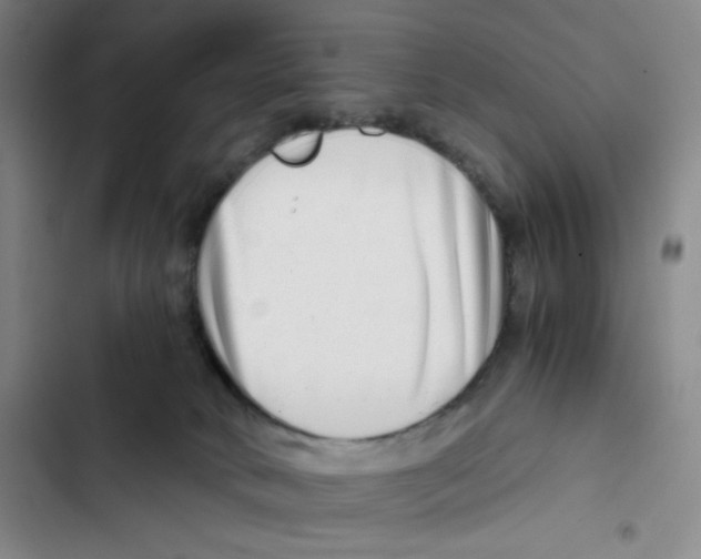 X0000102820034200809151026