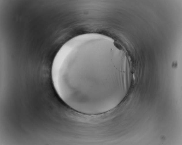 X0000102820035200809151026