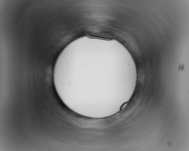 X0000102820036200809151026
