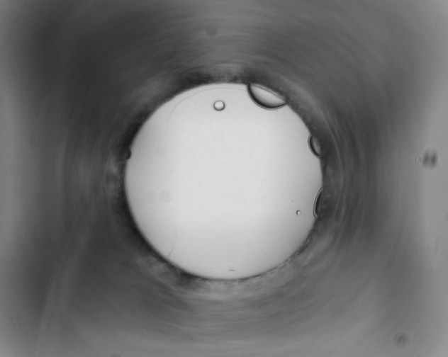 X0000102820037200809151026