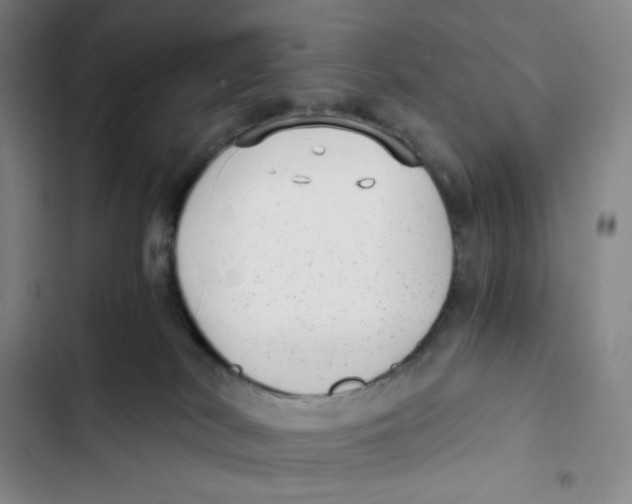X0000102820038200809151026