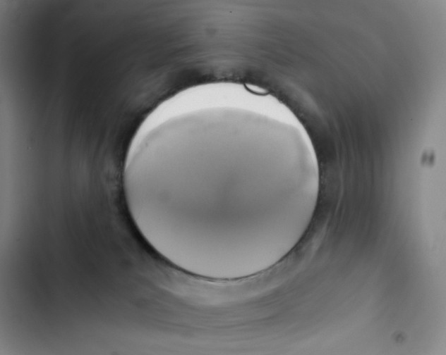 X0000102820039200809151026