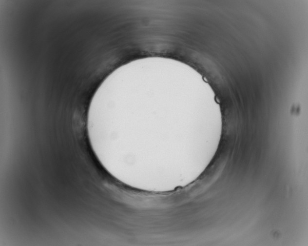 X0000102820040200809151026