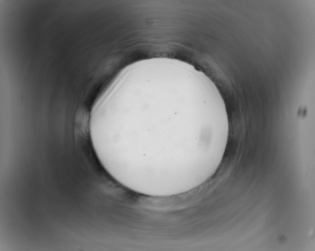 X0000102820041200809151026