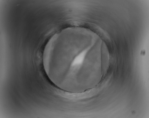 X0000102820043200809151026