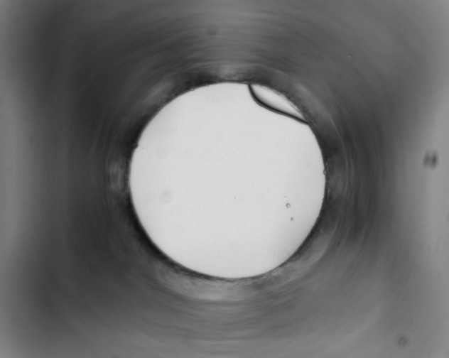 X0000102820044200809151026