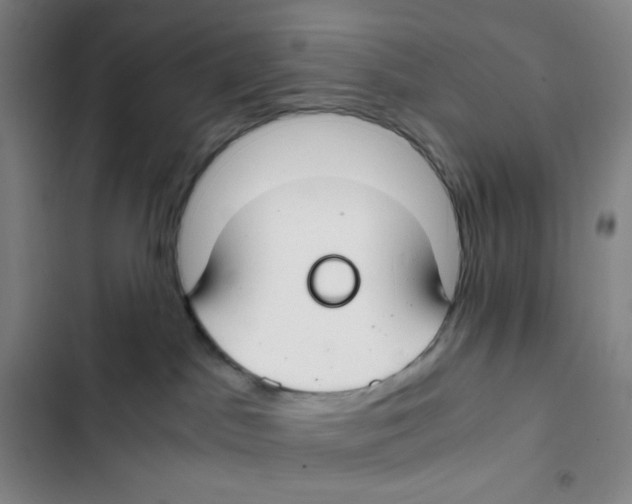 X0000102820045200809151026