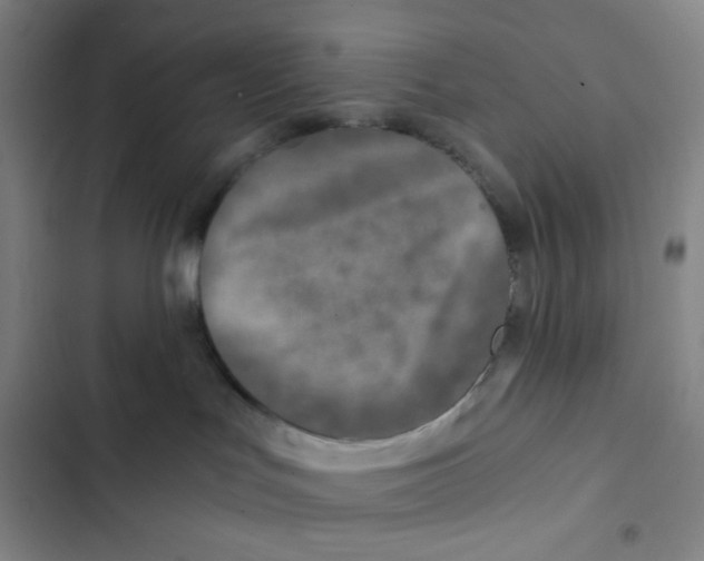 X0000102820047200809151026