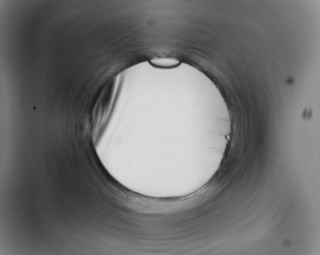 X0000102820048200809151026