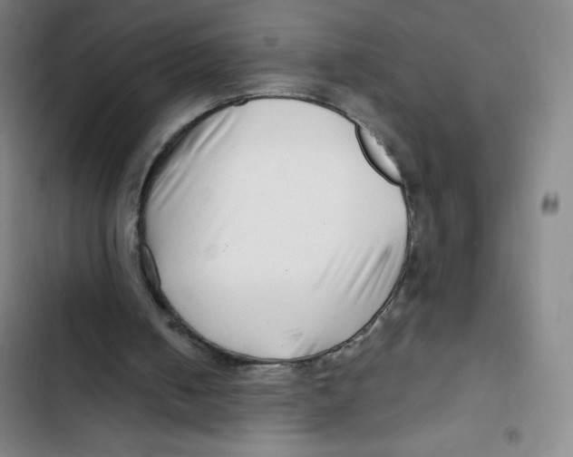 X0000102820050200809151025