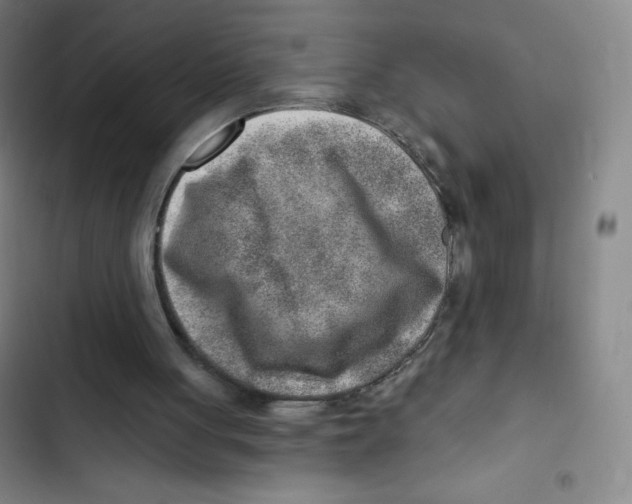 X0000102820051200809151025