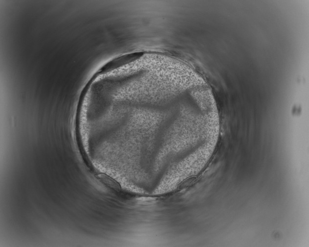 X0000102820052200809151025