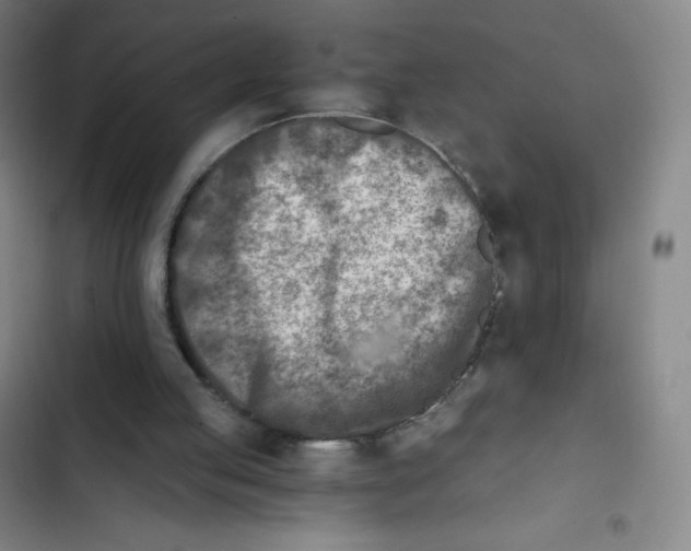 X0000102820053200809151025