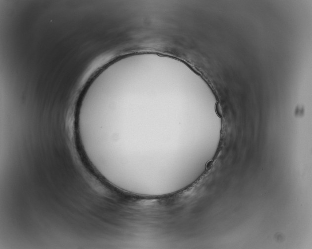 X0000102820054200809151025