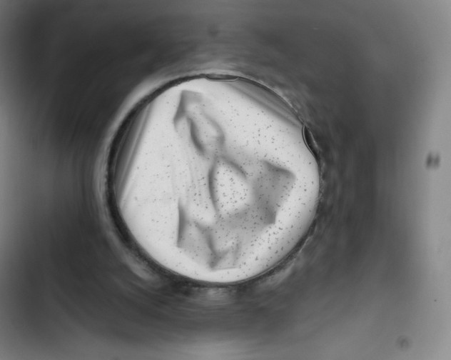 X0000102820056200809151025