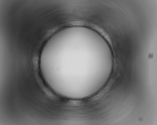 X0000102820057200809151025