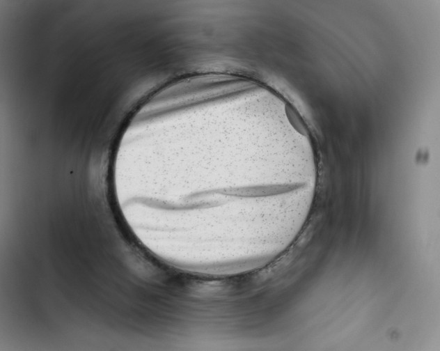 X0000102820058200809151025