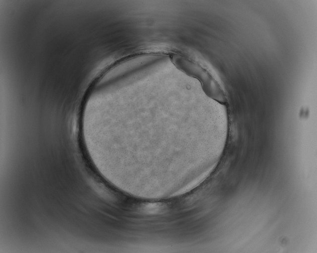 X0000102820059200809151025