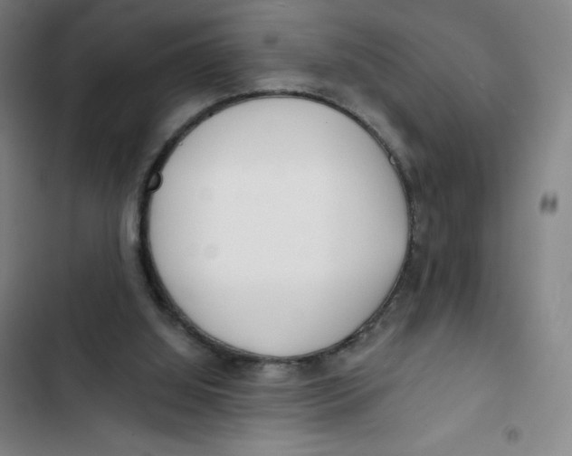 X0000102820060200809151025