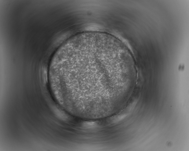X0000102820061200809151025