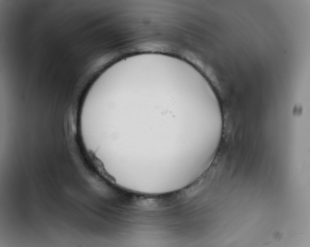 X0000102820062200809151025