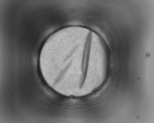 X0000102820063200809151025