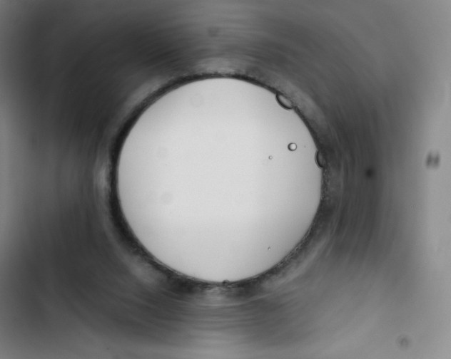 X0000102820064200809151025