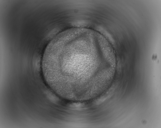 X0000102820065200809151025