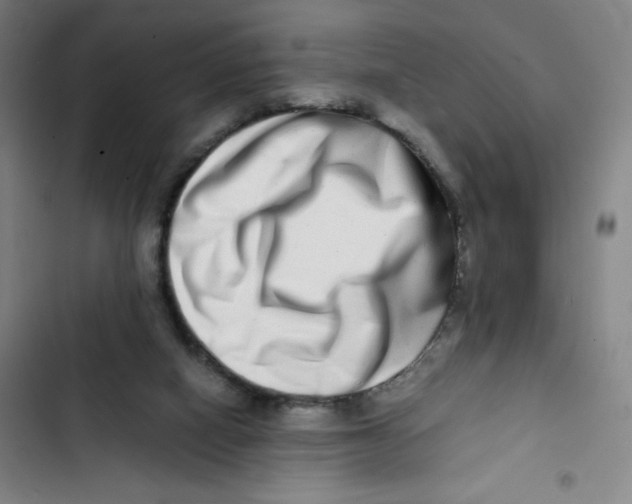 X0000102820066200809151025