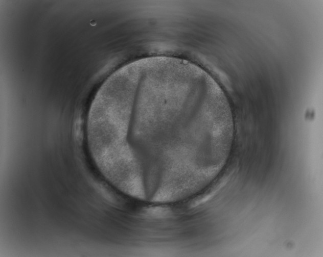 X0000102820067200809151025