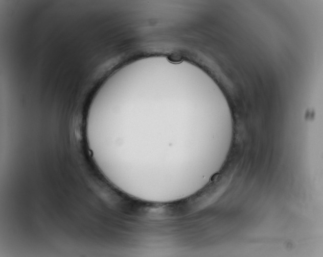 X0000102820068200809151025