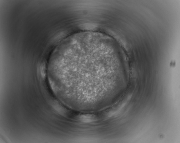 X0000102820069200809151025