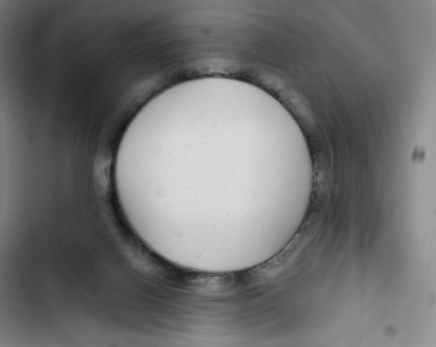 X0000102820070200809151025
