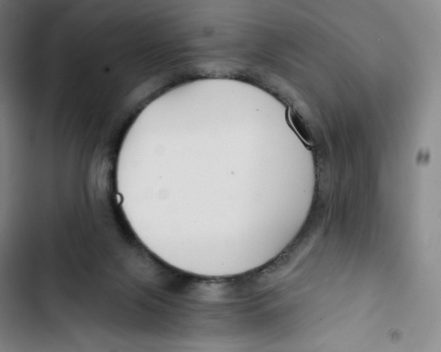 X0000102820071200809151025