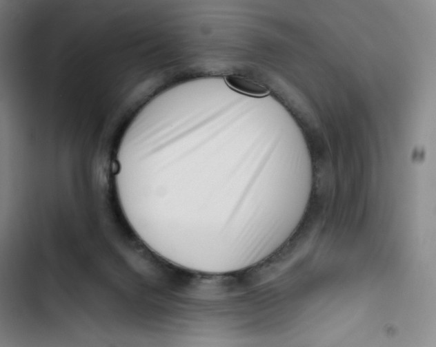 X0000102820072200809151025