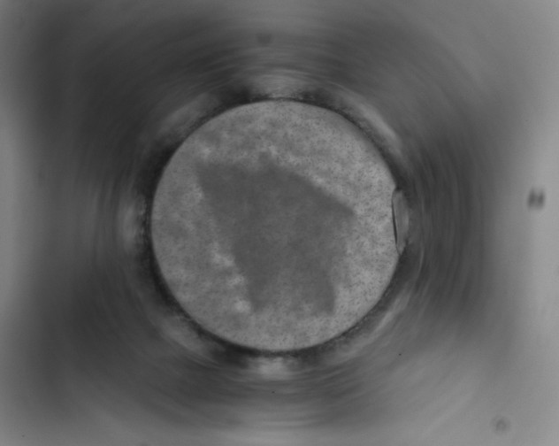 X0000102820073200809151025
