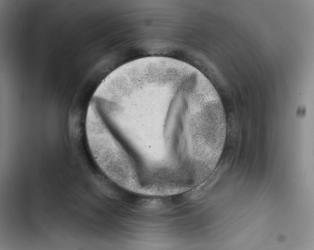 X0000102820074200809151025