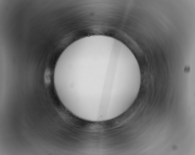 X0000102820075200809151025