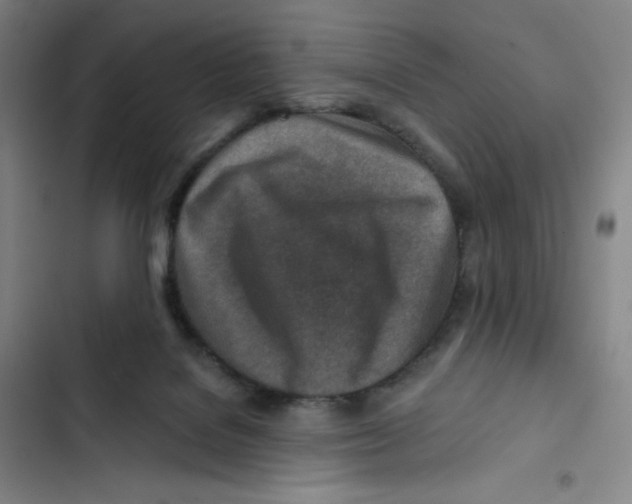 X0000102820076200809151025