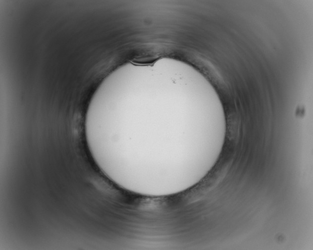 X0000102820077200809151025