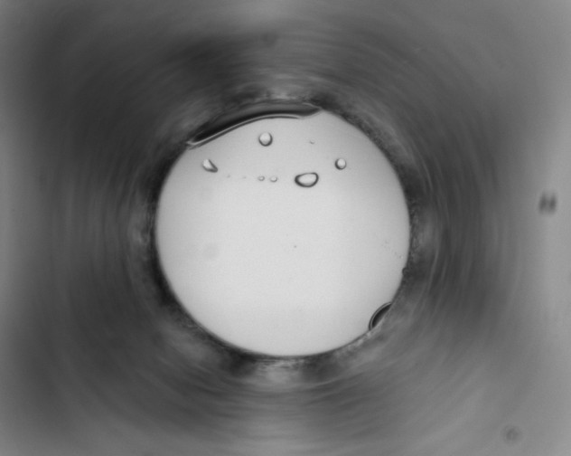X0000102820078200809151025