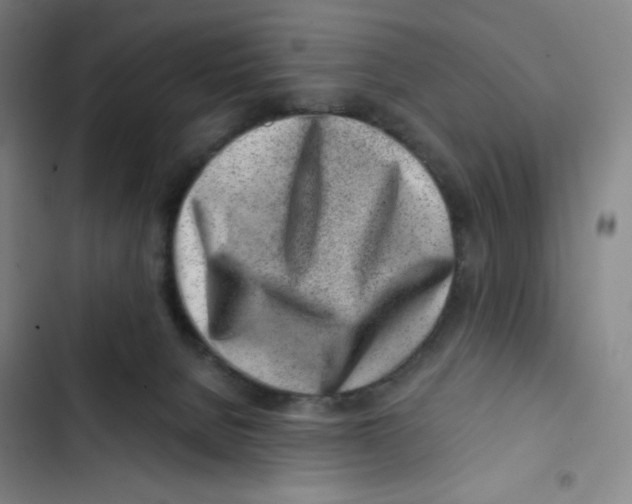X0000102820080200809151025